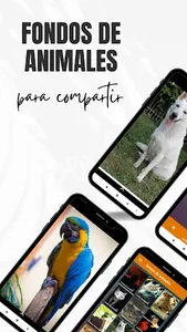 fondos de animales screenshot 1