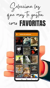 fondos de animales screenshot 2