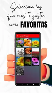 fondos de flores screenshot 2