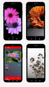 fondos de flores screenshot 6