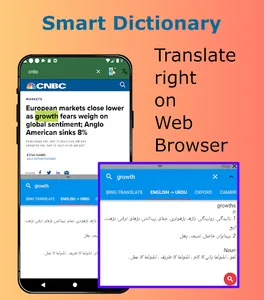 English Urdu Dictionary screenshot 3