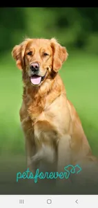 PetsForever screenshot 0