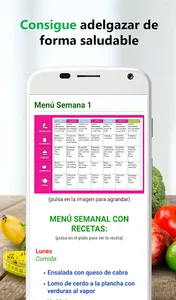 Dieta sana para adelgazar screenshot 8