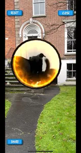 DSPCA Portal screenshot 15