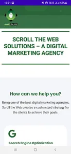 Digital Marketing Agency - STW screenshot 1
