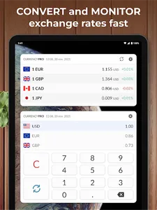 Currency Converter Plus screenshot 12