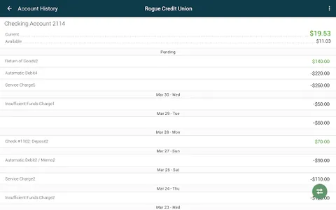 Rogue Credit Union screenshot 10