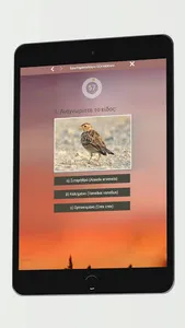 Ερωτηματολόγιο κυνηγών screenshot 5