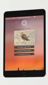 Ερωτηματολόγιο κυνηγών screenshot 6