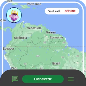 DINIZ EXPRESS PROFISSIONAL screenshot 6
