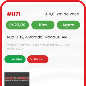 DINIZ EXPRESS PROFISSIONAL screenshot 7