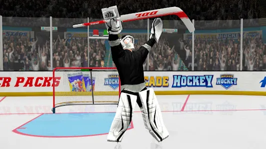 Hockey All Stars screenshot 6