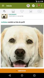 FOP ( Red Social de Mascotas ) screenshot 2