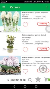 DivaFlora - доставка цветов screenshot 2