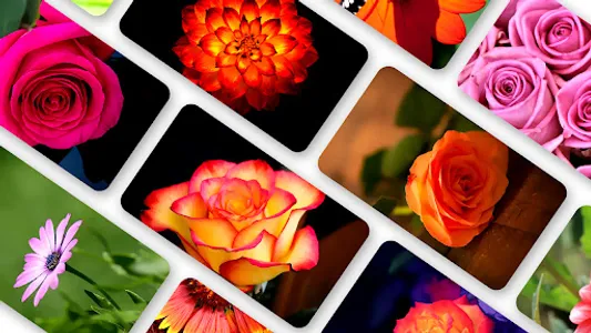Flower Wallpaper 2023 screenshot 0