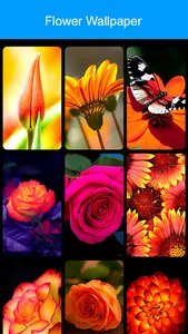 Flower Wallpaper 2023 screenshot 6