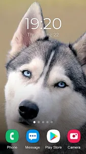 Husky Dog Wallpaper 2023 screenshot 1