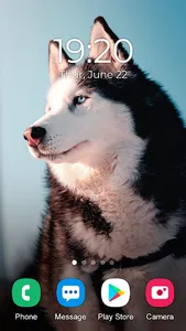 Husky Dog Wallpaper 2023 screenshot 2
