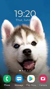 Husky Dog Wallpaper 2023 screenshot 3
