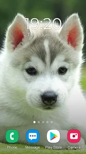 Husky Dog Wallpaper 2023 screenshot 4
