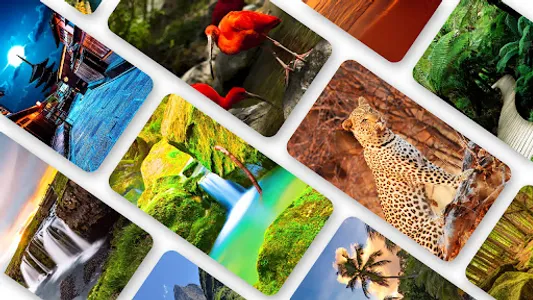 Nature Wallpaper 2023 screenshot 0