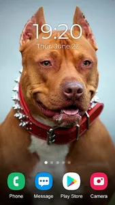 Pitbull Wallpaper 2023 screenshot 3