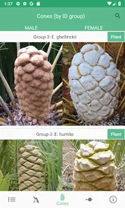 SA Cycads screenshot 3