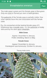 SA Cycads screenshot 4