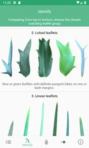 SA Cycads screenshot 5