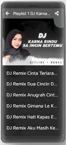 Lagu Dj Karna Rindu Offline screenshot 2