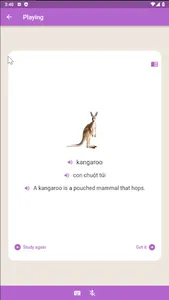 eFlashcards screenshot 11
