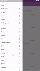 eFlashcards screenshot 12