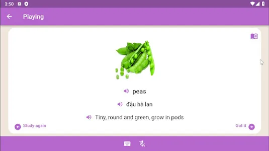 eFlashcards screenshot 18