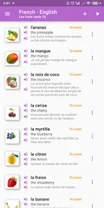 eFlashcards screenshot 3