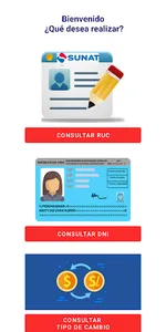 Consulta RUC y DNI screenshot 0