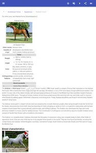 Breeds of horses screenshot 13