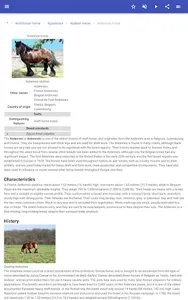 Breeds of horses screenshot 14