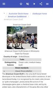 Breeds of horses screenshot 4