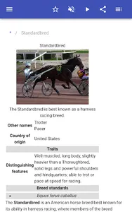 Breeds of horses screenshot 6