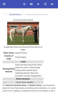 Breeds of horses screenshot 7