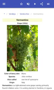 Grape varieties screenshot 2