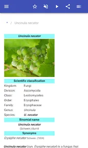 Plant diseases screenshot 1