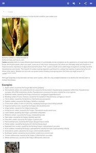 Plant diseases screenshot 11