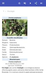 Plant diseases screenshot 6