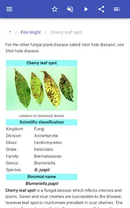 Plant diseases screenshot 7