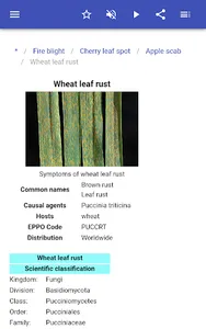 Plant diseases screenshot 9