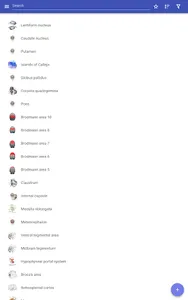 Brain screenshot 10