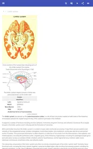 Brain screenshot 11