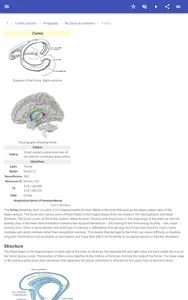 Brain screenshot 14