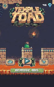 Temple Toad screenshot 0